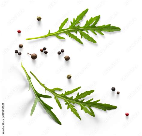 Foto De Spices And Herbs With Transparent Shadow On Transparent