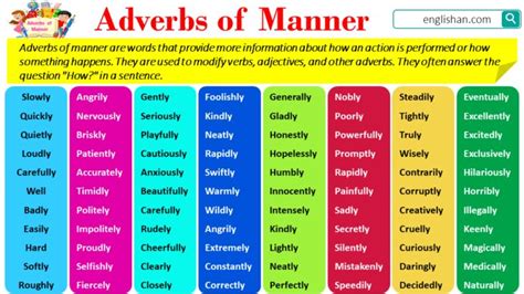 Adverbs Of Frequency With Types And Examples Englishan