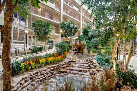 Indoor Atrium Trees & Plants at Senior Living Community | TreeScapes ...