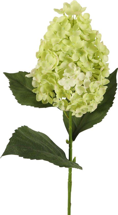 Viv Home Luxuries Hortensia Pluimhortensia Zijden Bloem Groen