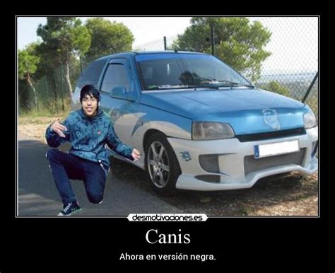 Canis Desmotivaciones