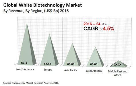 White Biotechnology Market to Reach US$ 262.3 Bn by 2024 - TMR