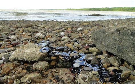 Adema Praias De Sergipe Est O Liberadas Para O Banho