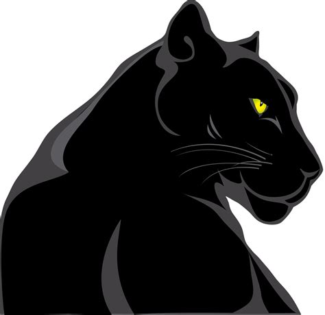 Mais De 10000 Imagens Grátis De Pantera Negra E Pantera Pixabay