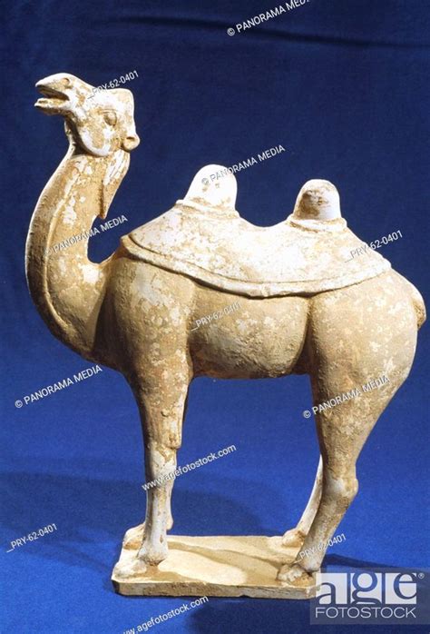 White Pottery Camel In Tang Dynasty Stock Photo Picture And Royalty