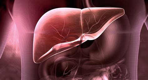 A Probiotic For Metabolic Liver Diseases