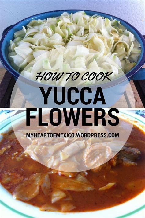 A Quick And Easy Way To Cook Yucca Flowers Artofit