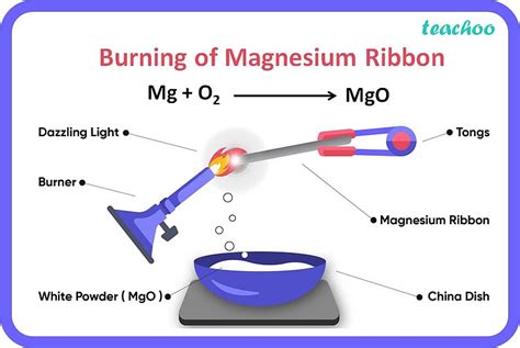 [chemistry Class 10] Which Is The Correct Observation Of The Reaction