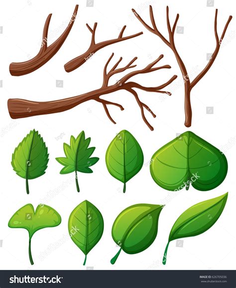 Tree Branches Green Leaves Illustration Stock Vector Royalty Free