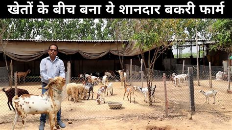 फौजी साहब का खेत में बना शानदार Goat Farm Goat Farming Youtube