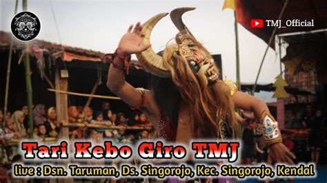 Kebo Giro TMJ Full Surup Turonggo Mudo Jomblang YouTube