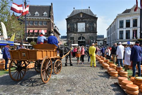 Trip To Gouda Cheese Market Opening Hours Prices More