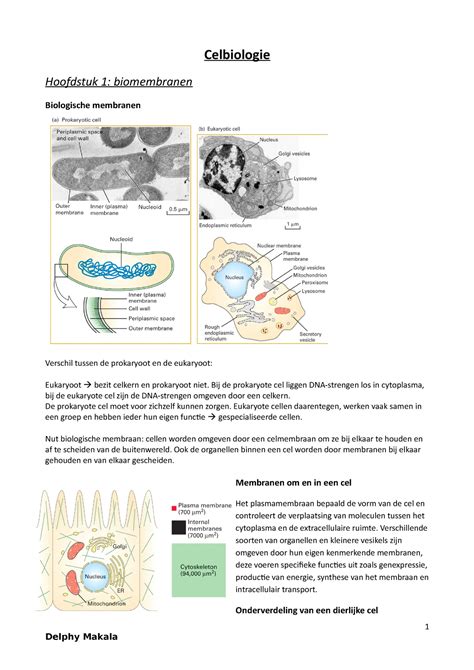 Samenvatting Voets Celbiologie Hoofdstuk Biomembranen