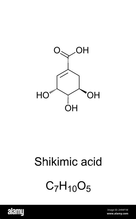 Shikimic acid, chemical formula and skeletal structure. The ...