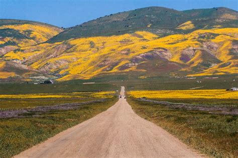 Carrizo Plain National Monument in San Luis Obispo County: The Complete ...