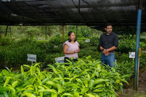 Un jardín interpretativo y un centro de producción de plantas nativas