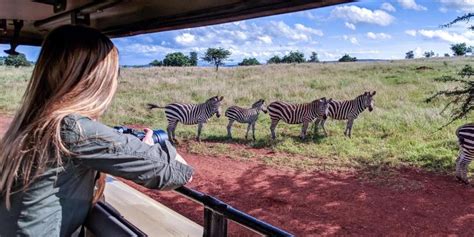 Game Drives In Akagera National Park Rwanda Safaris Rwanda