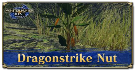 Sunbreak Dragonstrike Nut Location How To Get And Uses Monster