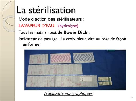 Ppt Le R Le De La St Rilisation Dans La Lutte Contre Les Infections