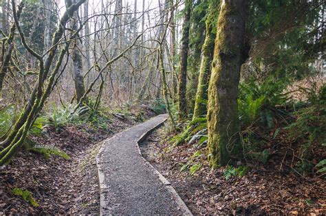 Cougar Mountain in Issaquah Alps / 伊瑟闊阿爾卑斯裏的美洲獅山