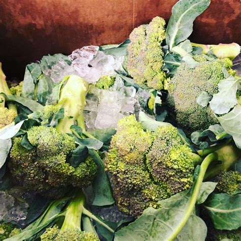 Broccoli – Nottinghamshire Farms