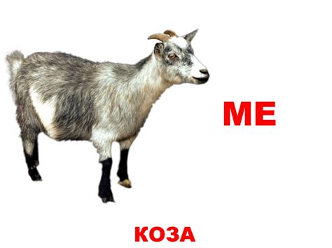Домашние животные. Кто как говорит - online presentation