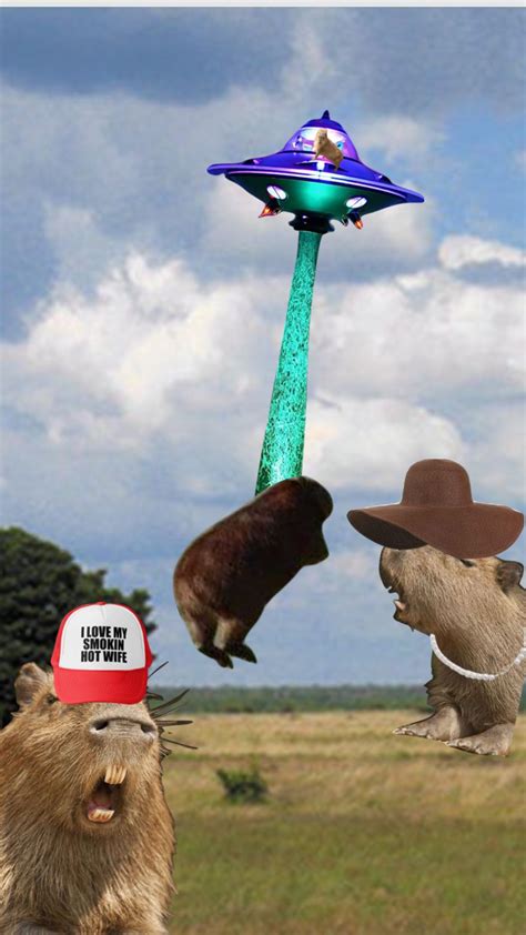 Oh No Alien Aliens Capybaras Capybara Aesthetic Aesthetics