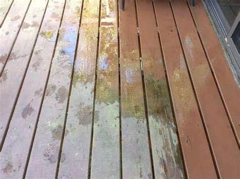 How To Remove Green Mold From Wood Deck Terrebook