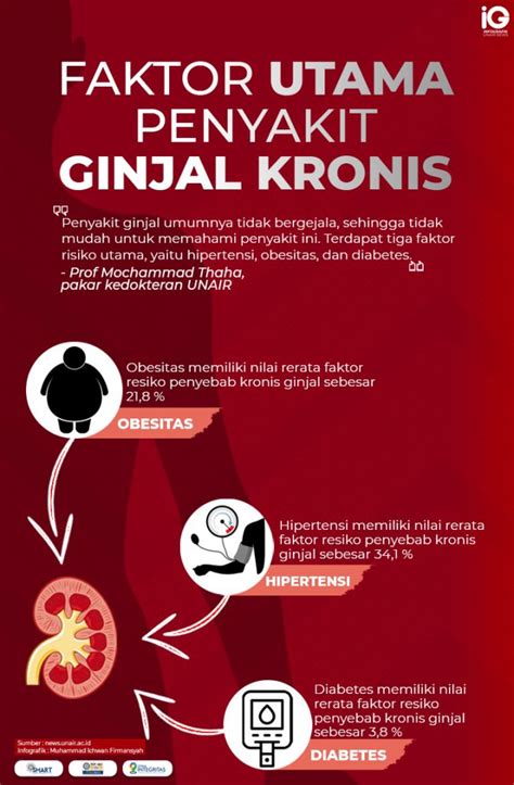 Infografik Faktor Utama Penyakit Ginjal Kronis Universitas Airlangga