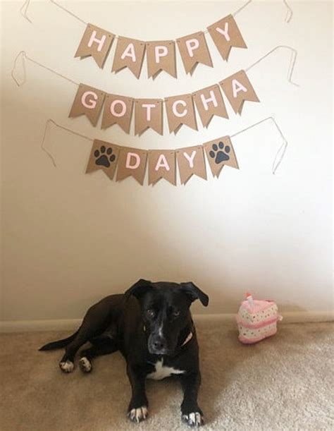 Happy Gotcha Day Bunting Banner Sign Dog Cat Rescue Birthday Etsy