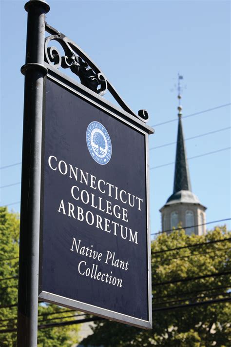 Connecticut College Arboretum In New London