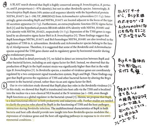 初めて英語論文を書く若手研究者へのアドバイス その6 ディスカッション編lab And Peace