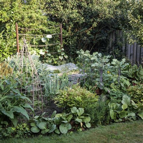 Foodscaping How To Turn Your Yard Into An Edible Eden Gardening Know How