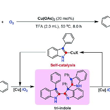 Self Catalysis Involved Cu Catalyzed Oxidative Coupling And Cyclization