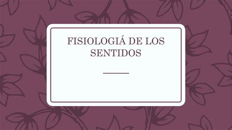 FISIOLOGÍA DE LOS SENTIDOS Estil Thinkkk uDocz