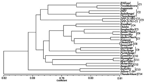 Dendrogram Illustrating Genetic Relationships Among 28 Populations In