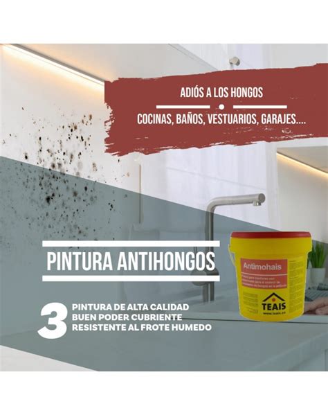 Pintura Antihongos ANTIMOHAIS