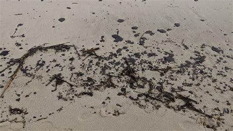 Delaware Bay Oil Spill Spreads On Day Three Two Tons Of Oily Sand Removed