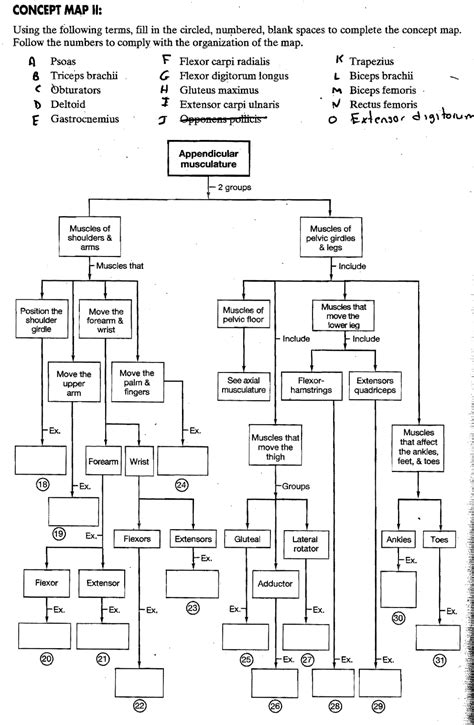 Solved Concept Map I Using The Following Terms Fill In The