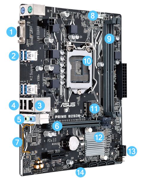 Prime B250m J｜motherboards｜asus Baltics