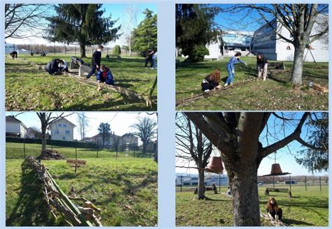 Am Nagement Des Espaces Verts Du Lyc E Lycee Les Haberges