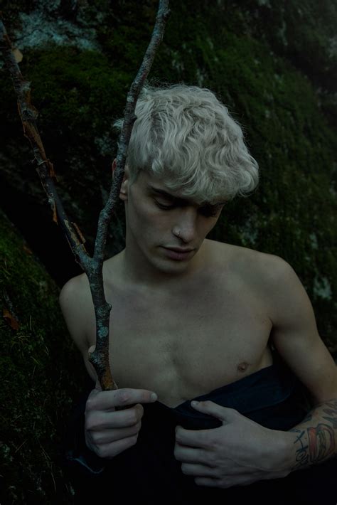 INSIDE THE WOODS on Behance