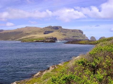 Auckland Islands - Alchetron, The Free Social Encyclopedia