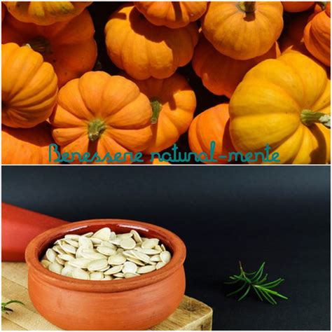 Benessere Natural Mente ZUCCA E SEMI DI ZUCCA PROPRIETA E BENEFICI