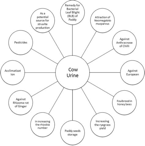 Agricultural uses of cow urine | Download Scientific Diagram