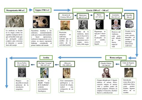 Linea Del Tiempo Avances De La Medicina Kulturaupice Hot Sex Picture