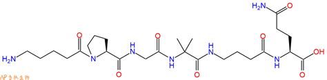 六肽Ava Pro Gly Aib Gaba Gln H2N Ava Pro Gly Aib Gaba Gln OH H2N Ava PG