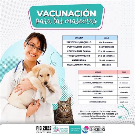 Vacunas Para Sus Mascotas