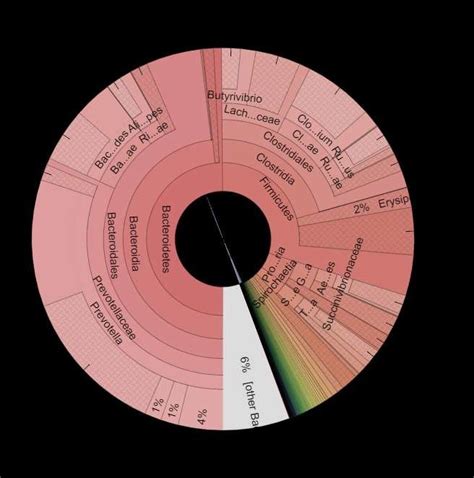 The Taxonomic Characterization Of The Rumen Fluid Bacterial Species