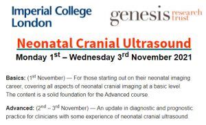 Neonatal Cranial Ultrasound Spn Sociedade Portuguesa De Neonatologia